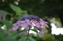 ���z��0965