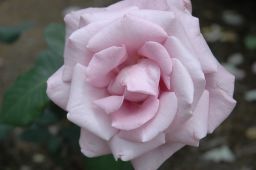 �K�N0088
